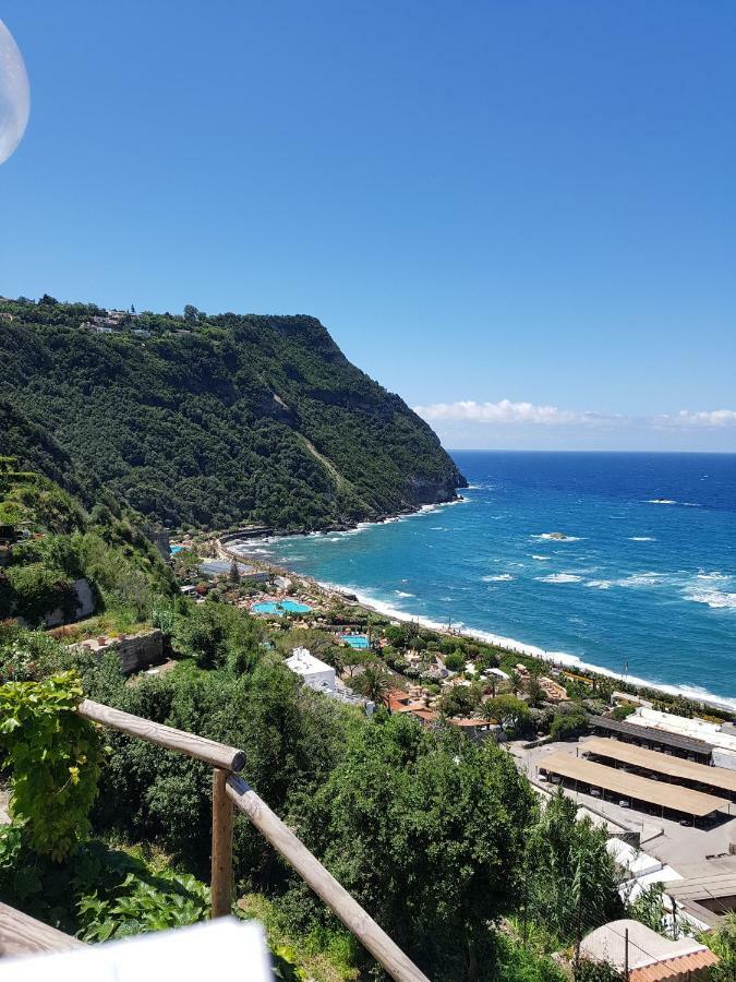 Appartamenti Su Piazza Matteotti Forio Centralissimi Luaran gambar